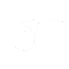SJT